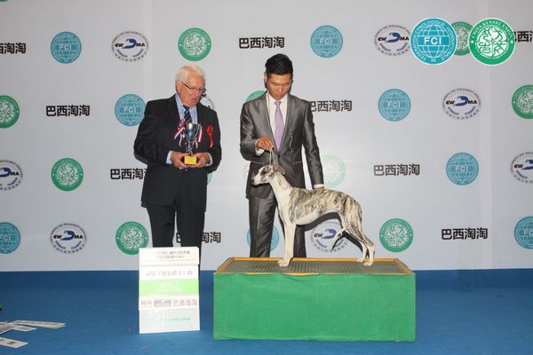 图片点击可在新窗口打开查看