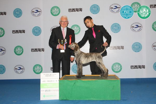 图片点击可在新窗口打开查看