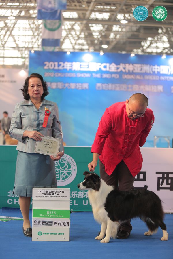 图片点击可在新窗口打开查看