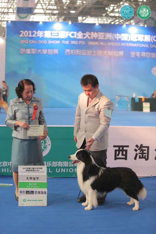 图片点击可在新窗口打开查看