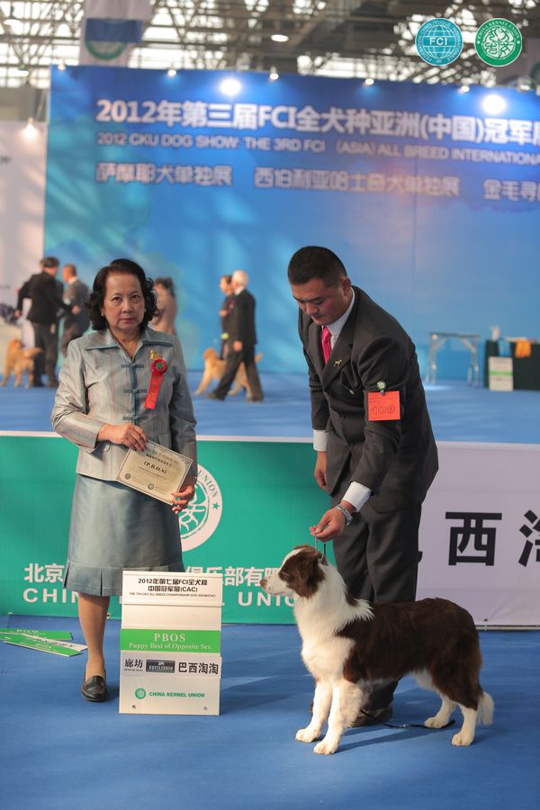 图片点击可在新窗口打开查看