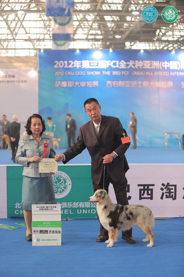 图片点击可在新窗口打开查看