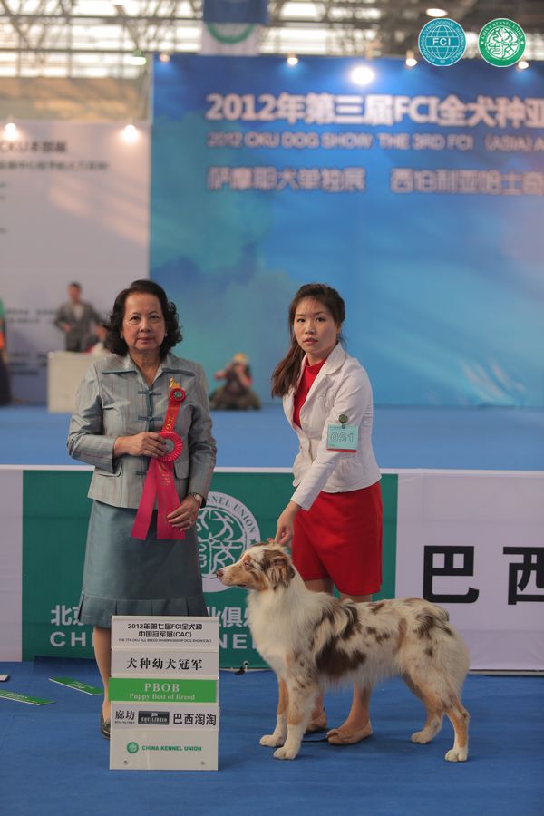 图片点击可在新窗口打开查看