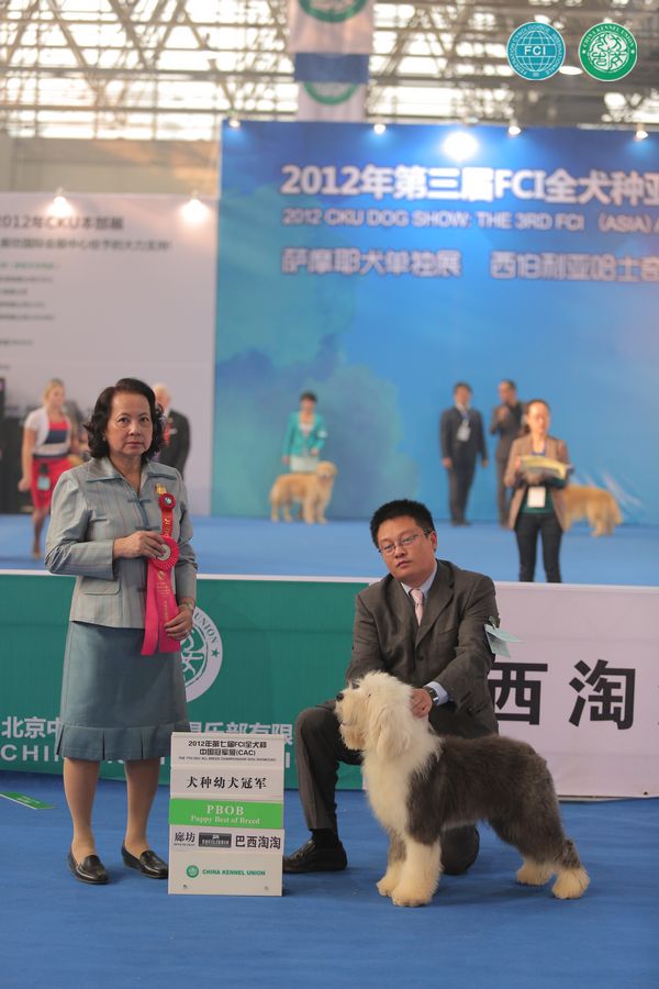 图片点击可在新窗口打开查看