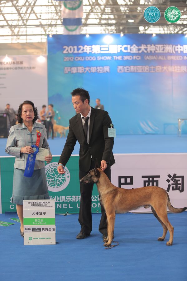 图片点击可在新窗口打开查看