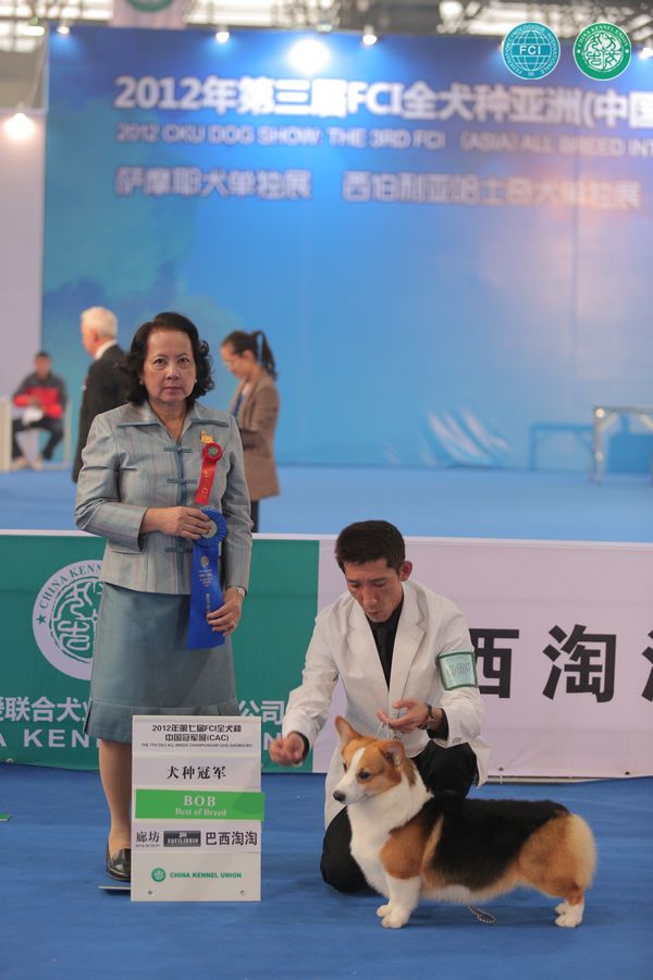 图片点击可在新窗口打开查看