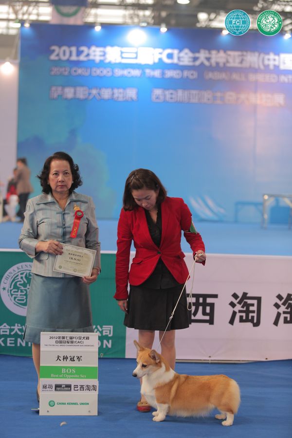 图片点击可在新窗口打开查看