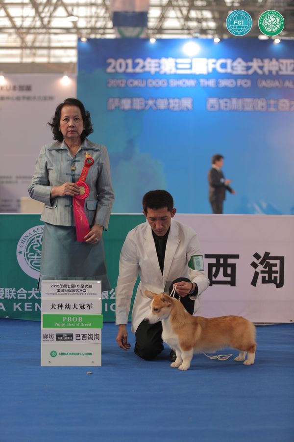 图片点击可在新窗口打开查看