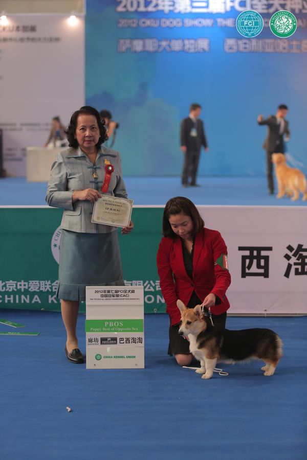 图片点击可在新窗口打开查看