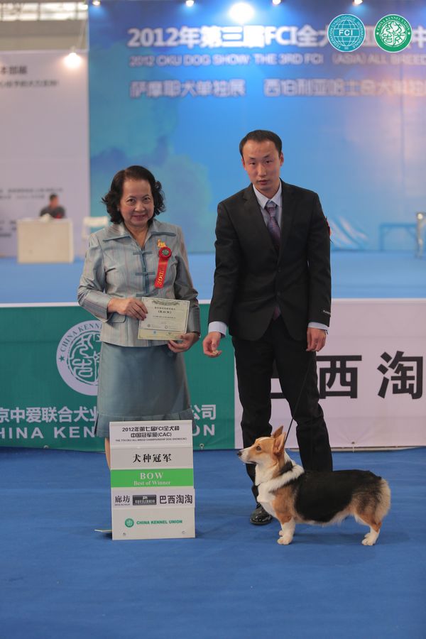 图片点击可在新窗口打开查看