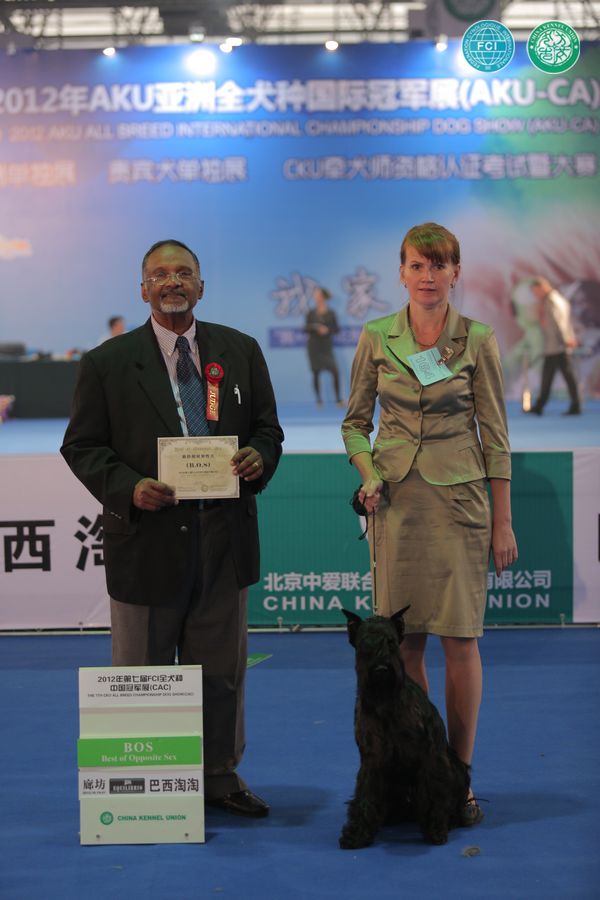 图片点击可在新窗口打开查看