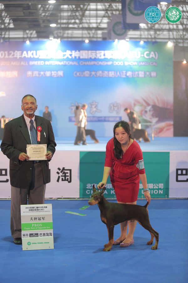 图片点击可在新窗口打开查看