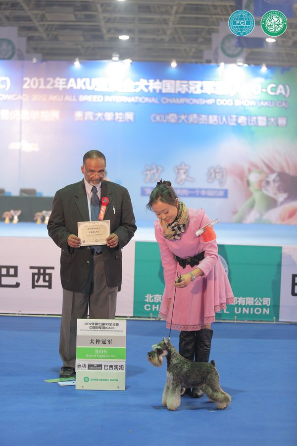 图片点击可在新窗口打开查看