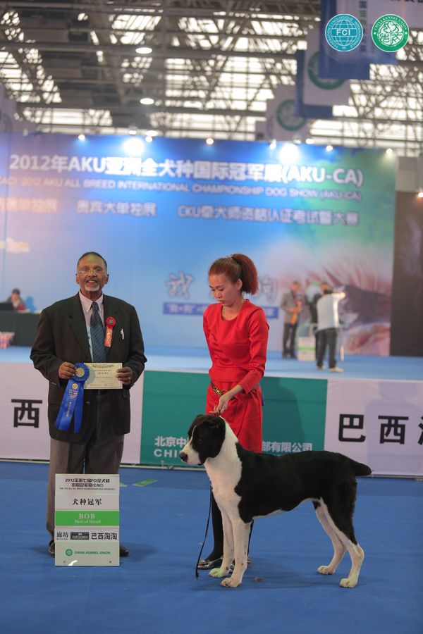 图片点击可在新窗口打开查看