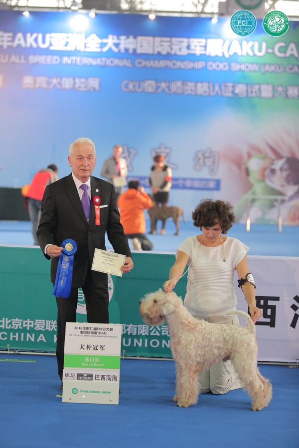 图片点击可在新窗口打开查看