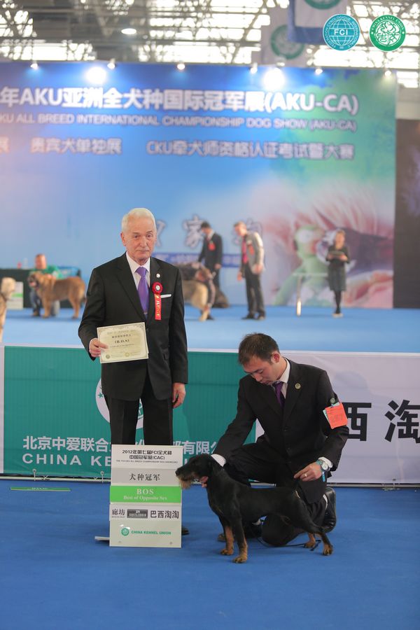 图片点击可在新窗口打开查看