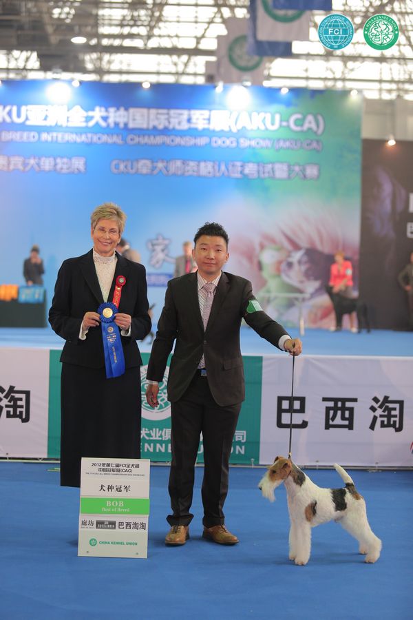 图片点击可在新窗口打开查看