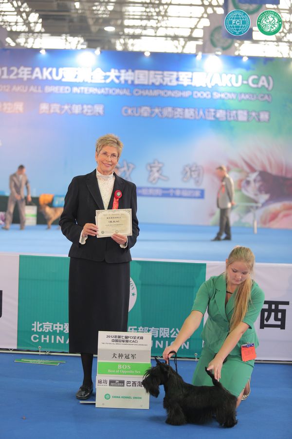 图片点击可在新窗口打开查看