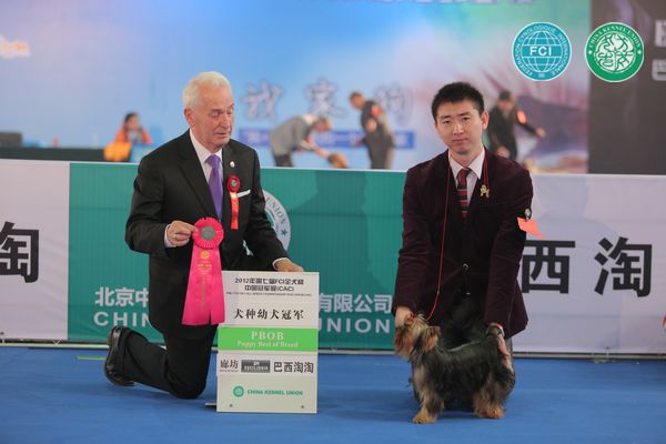 图片点击可在新窗口打开查看