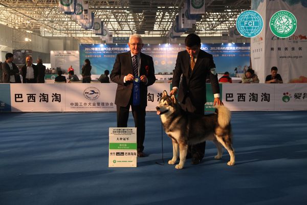 图片点击可在新窗口打开查看