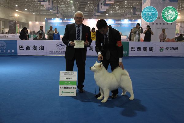 图片点击可在新窗口打开查看