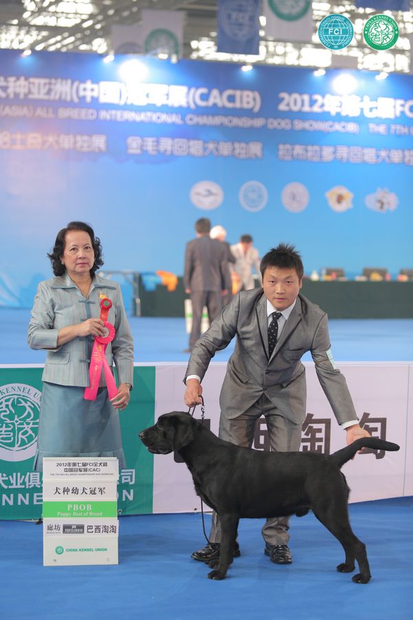 图片点击可在新窗口打开查看