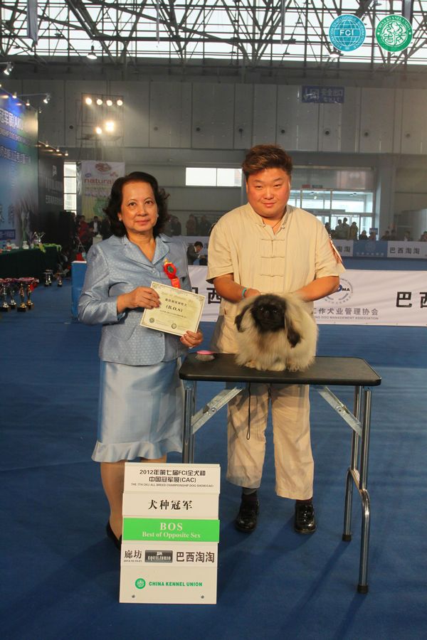 图片点击可在新窗口打开查看