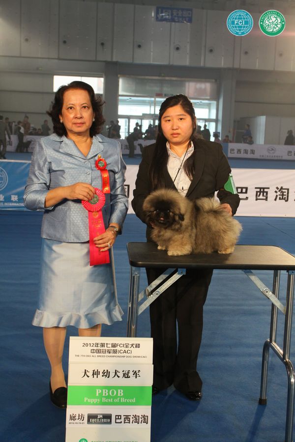 图片点击可在新窗口打开查看