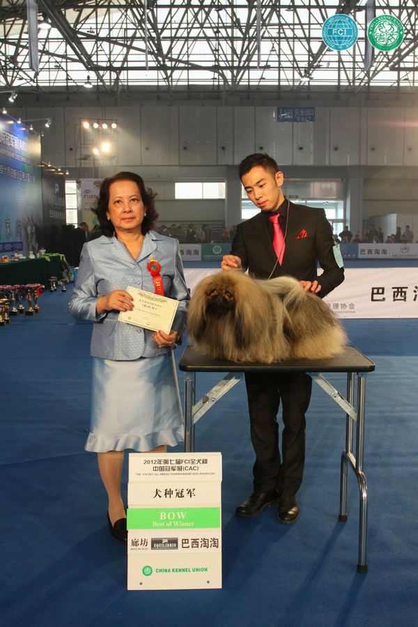 图片点击可在新窗口打开查看