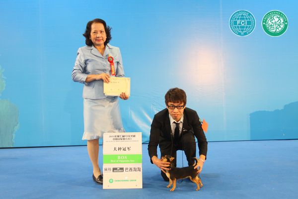 图片点击可在新窗口打开查看