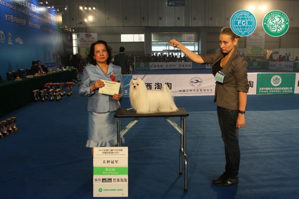 图片点击可在新窗口打开查看