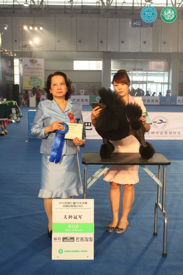 图片点击可在新窗口打开查看