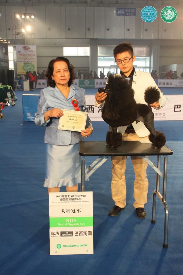 图片点击可在新窗口打开查看