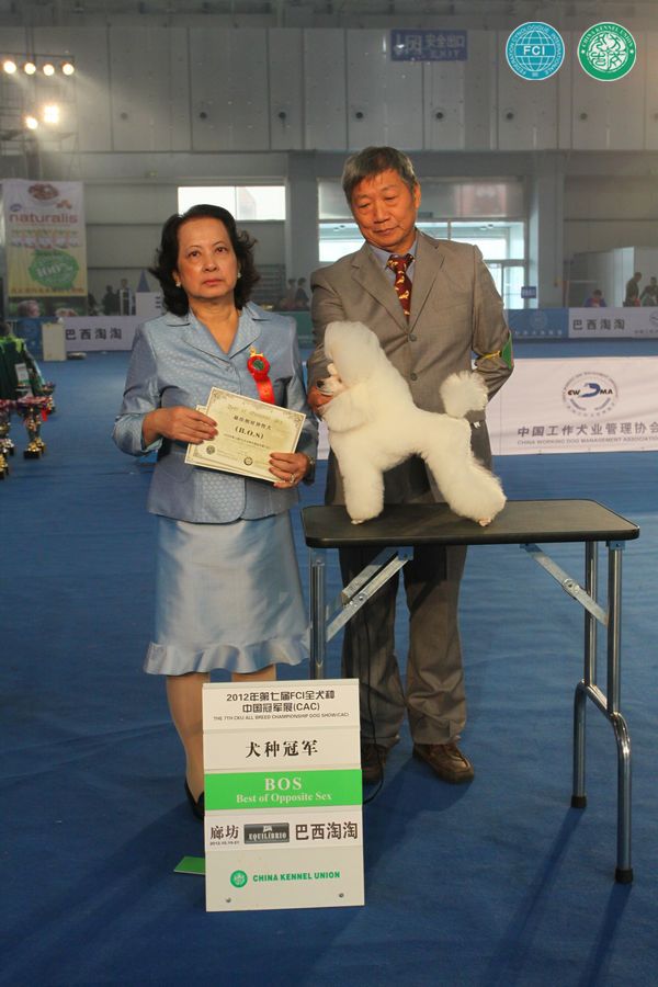 图片点击可在新窗口打开查看