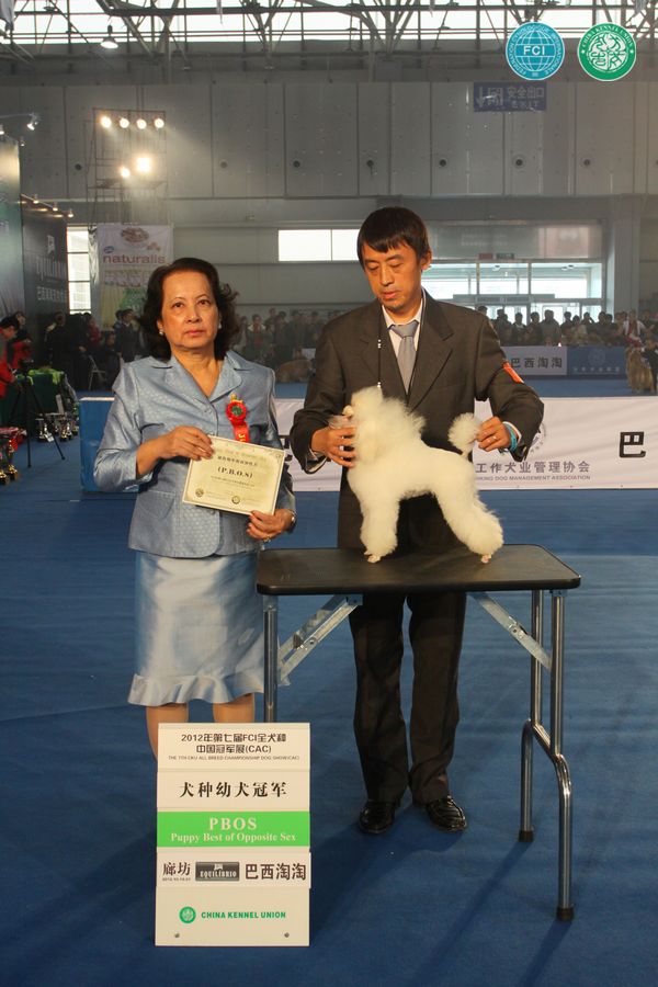 图片点击可在新窗口打开查看