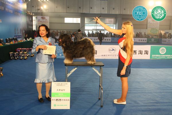 图片点击可在新窗口打开查看