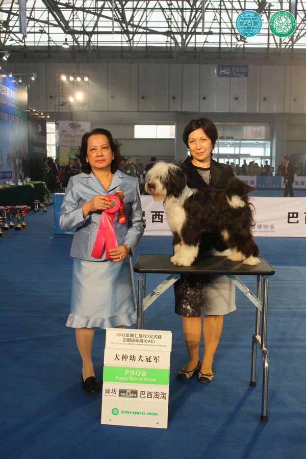 图片点击可在新窗口打开查看