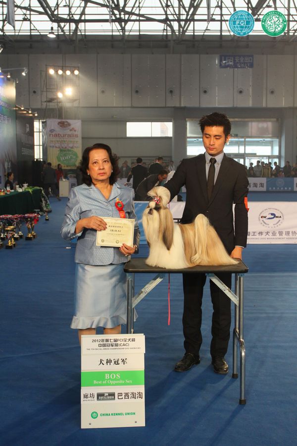 图片点击可在新窗口打开查看