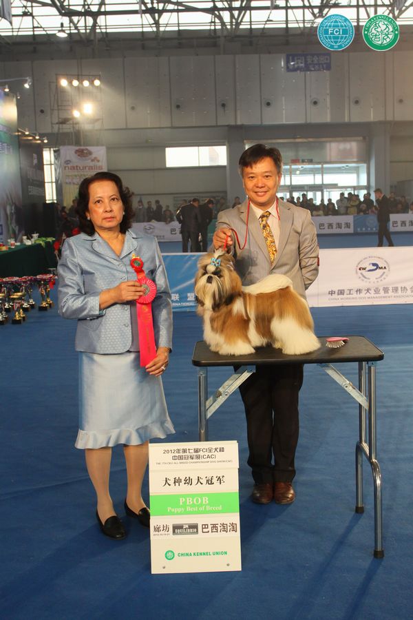 图片点击可在新窗口打开查看